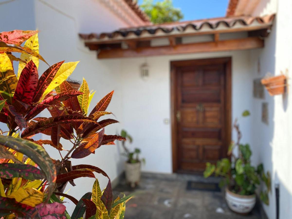 Villa La Paz Пуерто де ла Крус Екстериор снимка